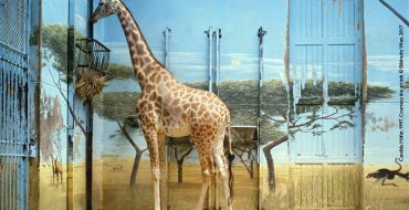 Candida Hörer, Zoologischer Garten Paris II, 1997 Edition 3/6 Farbfotografie, 26 x 37 cm Courtesy the artist © Bildrecht Wien, 2017
